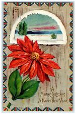 1913 Merry Christmas & Happy New Year Poinsettia Flowers Embossed Postcard picture