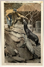Feeding the Sea Lions, Zoological Garden Fairmont Park, Philadelphia PA Postcard picture
