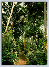 Vintage Postcard Royal Botanic Gardens Kew Palm House picture