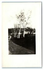 Postcard Rural View Barn or Church, wooded area path RPPC I54 picture