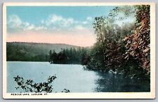 Rescue Lake Lakefront Ludlow Vermont VT Forest Mountains Vintage UNP Postcard picture