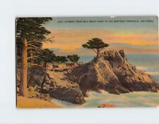 Postcard Cypress Tress On A Rocky Point Of The Monterey Peninsula, California picture