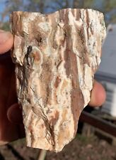 ☘️RR⚒: Top Quality Arizona, Agate/Opal/Druzy Petrified Wood, 12 Oz. 🌈 picture