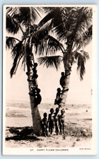 RPPC Happy Fijian Children climbing palm trees FIJI Postcard picture