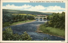 Hamburg Pennsylvania ~ bridge ~ Schuylkill River ~ scenic view ~ linen postcard picture
