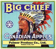GENUINE APPLE CRATE LABEL CANADA BIG CHIEF INDIAN BRITISH COLUMBIA C1950S PALMER picture
