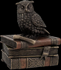 LITTLE OWL CASE ON BOOKS VERONESE WU75509A4 picture