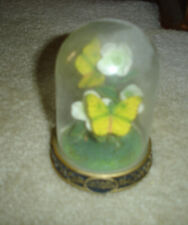 Ceramic Butterflies Glass Dome - Cloudless Giant Sulphur - Vintage picture