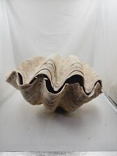 Ancient Giant Clam Shell  22