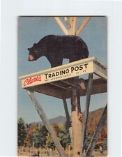 Postcard Clarks Trading Post North Woodstock New Hampshire USA picture