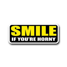 Smile If Your Horny  Patch IRON ON EMBROIDERED  4.0 INCH BIKER PATCH picture