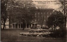 Canandaigua New York~Hotel from Behind Terraced Stone Fourntain @ Park~c1910 PC picture
