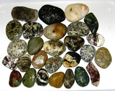 Lot of 5 lbs interesting rocks stones I found on Pacific Northwest Coast beaches picture
