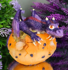 Small Sparkly Purple Whimsical Dragon Baby Emerging From Spotted Egg Figurine picture