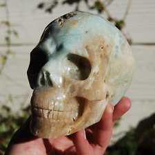 4.75in 2.5lb XL Chinese Amazonite Crystal Skull, Hand Carved picture