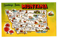 Montana Vintage State Postcard Helena Yellowstone New Unposted #038 picture