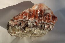 Huge Tricolor Banded Calcite Crystal 29+ Lbs- Mexico picture