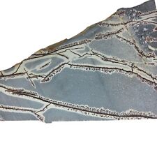 Sonoran Dendritic Rhyolite, slab, cabbing rough, lapidary, gemstone,blue,#R-6026 picture