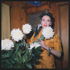 Actress Linda Darnell performed films by Vittorio de Sica Jean- 1961 Old Photo picture