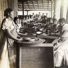 Antique 1918 Women Sorting Coffee Beans Peru Stereoview Photo Card P1469 picture