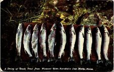 Katahdin Iron Works Maine Pleasant River String Of Brook Trout DB Postcard picture