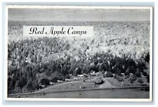 c1905 Bird's Eye View Of Red Apple Camps Macwahoc Maine ME Vintage Postcard picture