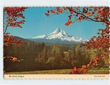 Postcard Mount Hood Oregon USA picture