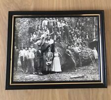 Vintage 1920s 7” x 9” B&W Photo Logging Photo PNW Old Growth Framed picture