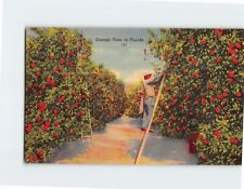 Postcard Orange Time in Florida USA picture