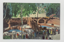 The San Diego Zoological Gardens Postcard Linen Unposted picture