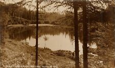 Classic Ridge and Lake Nehalem RPPC Postcard OR Silverprint AZO UNP 1904-1918 picture