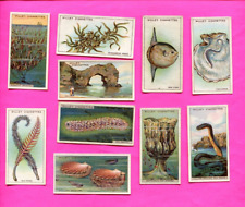 1928 W.D. & H.O. WILL'S CIGARETTES WONDERS OF THE SEA 10 DIFFERENT TOBACCO CARDS picture