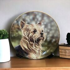 ANTICIPATION Plate Yorkshire Terriers Paul Doyle Danbury Mint No. A7809 picture