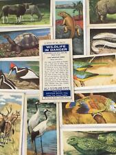 WILDLIFE IN DANGER Brooke Bond Tea Cards - sold individually - take your pick picture