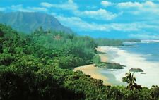Postcard Lumahai Beach, Hawaii Vintage picture