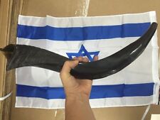 Yemenite Kudu Horn Shofar 16''-19'' New KOSHER Made in Jerusalem +Gift Flag Free picture