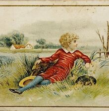 Antique Victorian Trade Card 1880-1990s 4.25 x 2.75 Boy In Field picture