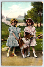 Postcard Antique 1910 Little Girls with Collie Dog in Park A23 picture