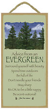 Advice from an Evergreen Inspirational Wood Nature Tree Sign Plaque Made in USA picture