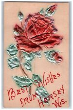 Hershey Wisconsin WI Postcard Best Wishes Embossed Flowers Leave c1910s Vintage picture