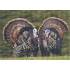 Wild Turkey - 3D Lenticular Postcard Greeting Card- NEW picture