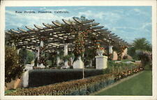 Pasadena California ~ Rose Pergola ~ garden ~ postcard sku745 picture
