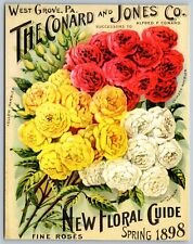 Postcard Art Crimson Rambling Rose Vintage Flower Catalog Cover REPRODUCTION F13 picture