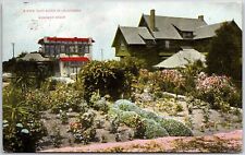 1909 Back Yard  Scene In California Redondo Beach Flower Garden Vintage Postcard picture