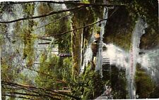 Vintage Postcard- Waterfalls, Kane, PA Early 1900s picture