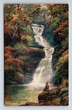O'Sullivan's Cascade Waterfall Killarney Ireland Raphael Tuck's Oilette Postcard picture