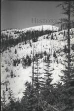 1937 Press Photo Snowy Mt. Spokane - spa91611 picture