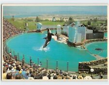 Postcard Performing Killer Whales Sea World San Diego California USA picture