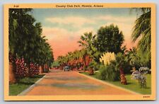 Vtg Country Club Park Phoenix Arizona Linen Postcard C8 picture