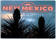 Postcard - Yuccas silhouetted by New Mexico storm clouds at sunset - New Mexico picture